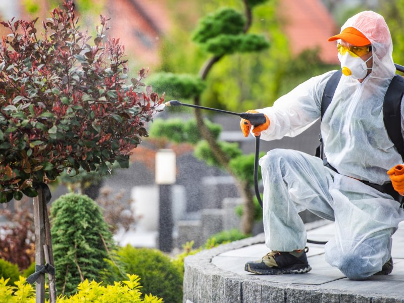 Köyceğiz Haşere İlaçlama