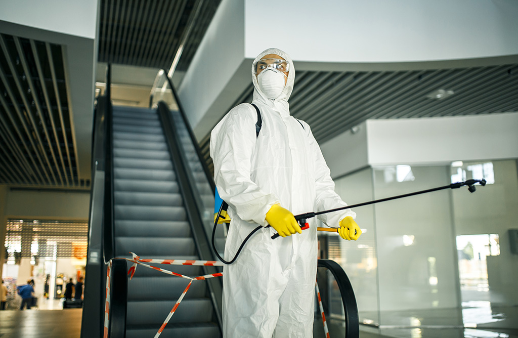 Köyceğiz Haşere İlaçlama